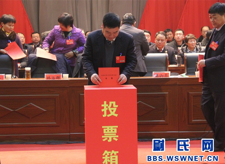 �س�����Ⱥ�μ�ͶƱ